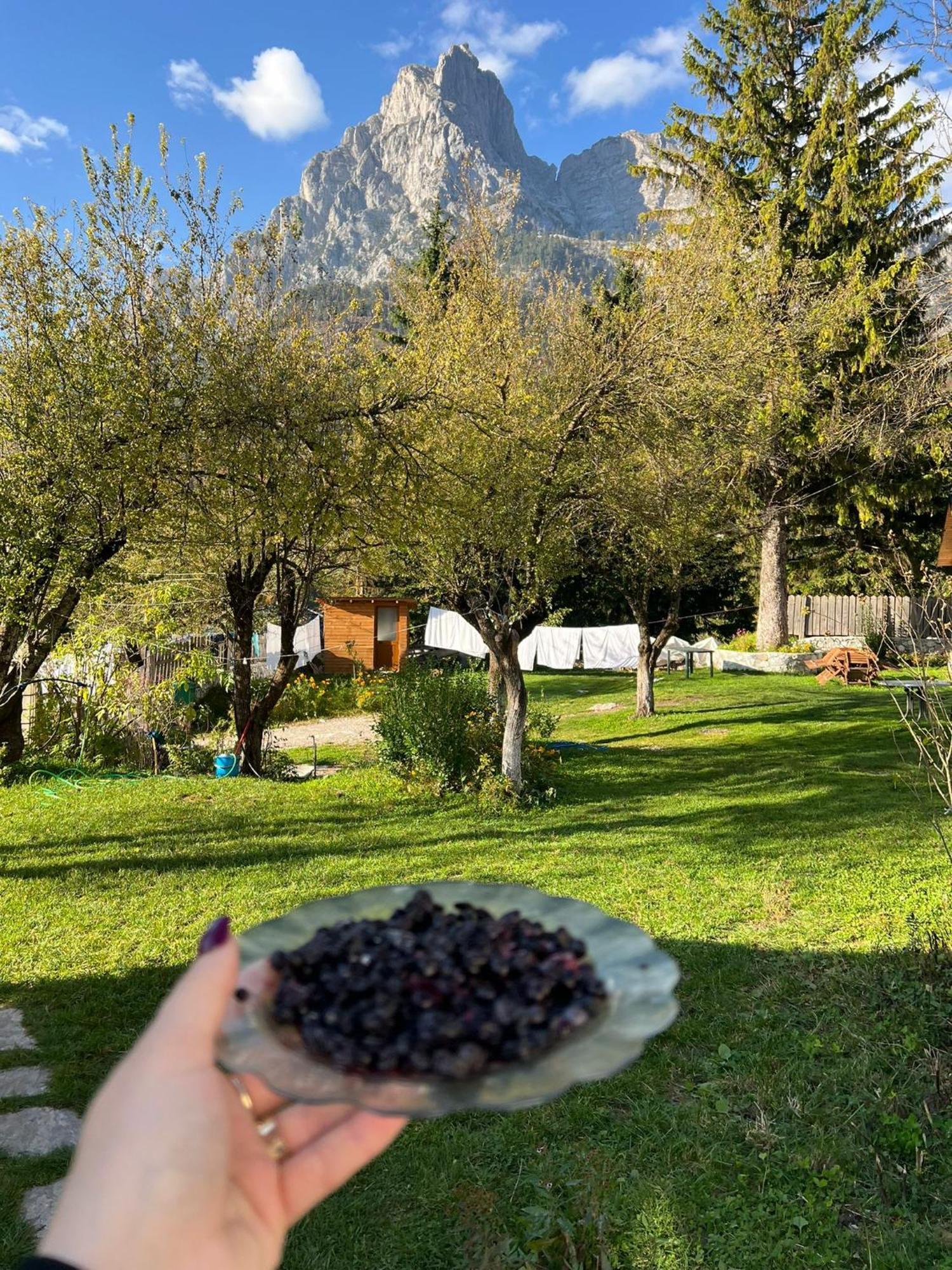 瓦勒博内Bujtina Arlindi住宿加早餐旅馆 外观 照片